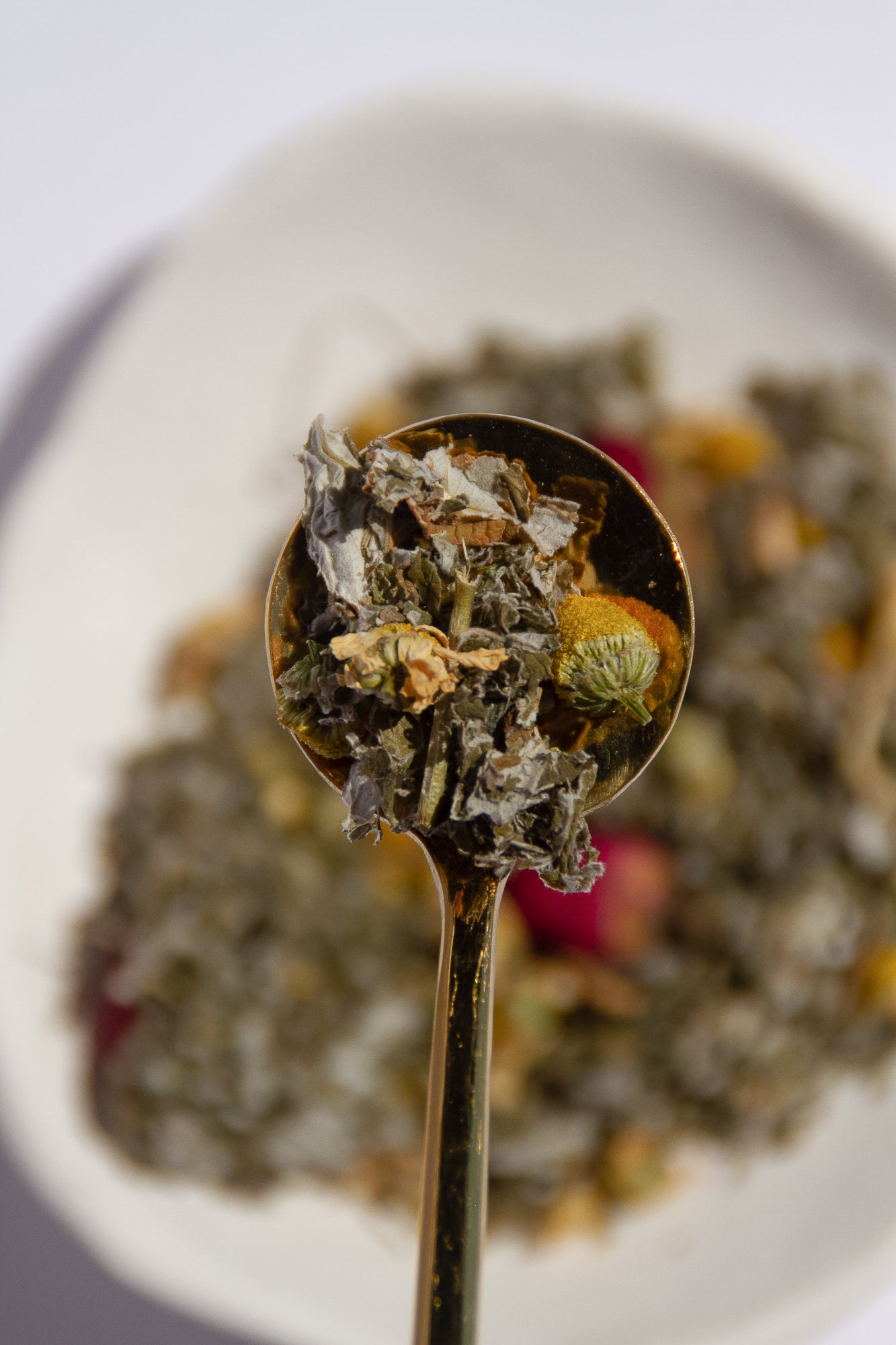 Red Raspberry Leaf Tea Herbs Up Close Shot